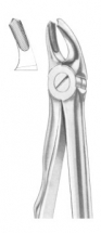  Fig. 39A upper molars for children 